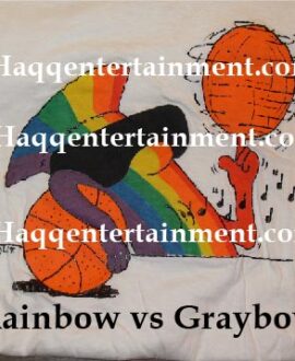 Rainbow vs Graybow spinning basketball on finger